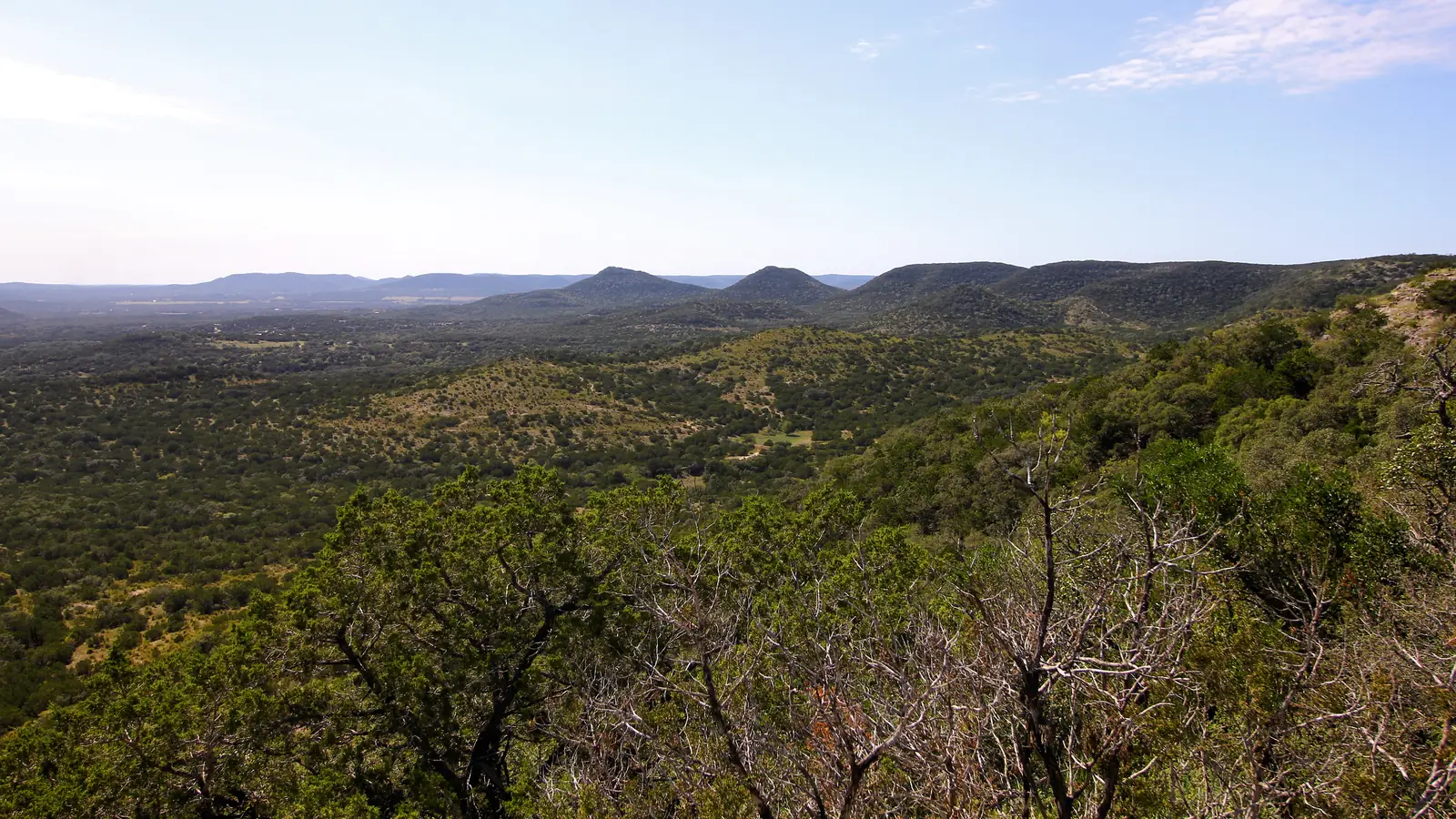 Rolling green hills of the Texas Hill Country under a wide open sky